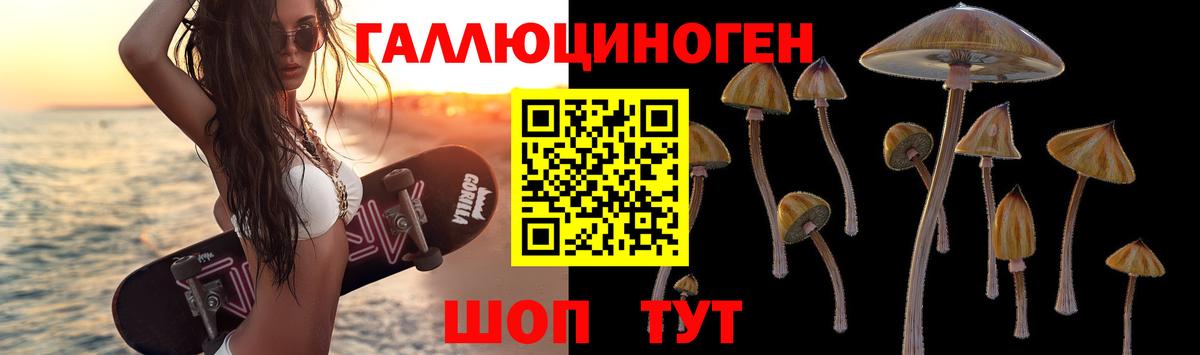 Майский  Псилоцибиновые грибы Psilocybine cubensis  Вход с VPN  Псилоцибиновые грибы мицелий 